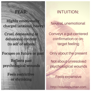 fear vs intuition - Rosalie Puiman